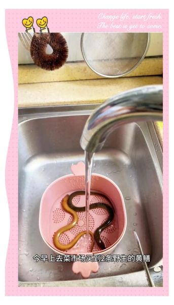 宝宝黄鳝粥怎么做_黄鳝粥适合几个月宝宝吃