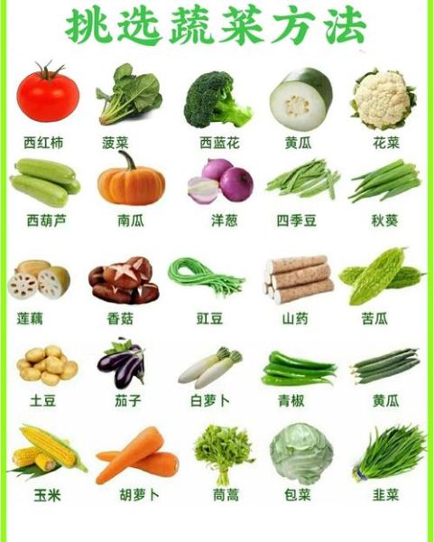 蔬菜图片大全有哪些_常见蔬菜高清图鉴