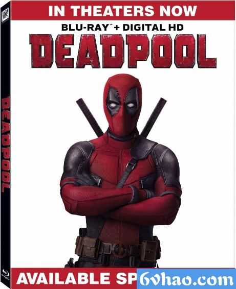 神秘马戏团迅雷下载_如何安全获取高清资源