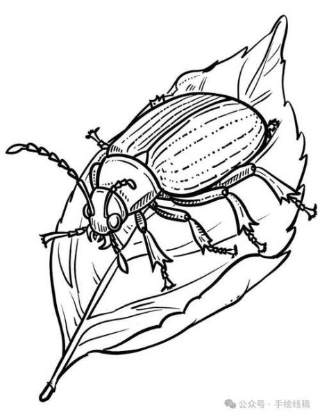 昆虫画图片大全_怎么画昆虫简单又好看