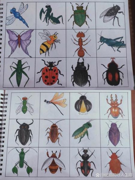 昆虫画图片大全_怎么画昆虫简单又好看