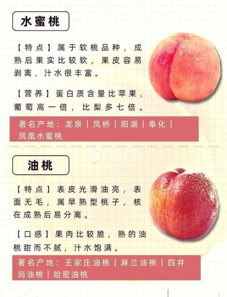 梦到桃子是什么意思_梦见桃子预示什么