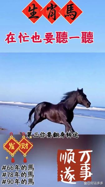 梦到大马是什么意思_梦见大马预示着什么