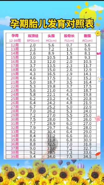 33周宝宝发育标准_33周宝宝要注意什么