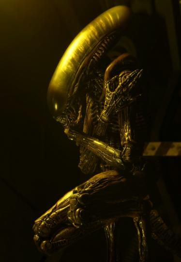 异形3迅雷下载_异形3高清资源哪里找