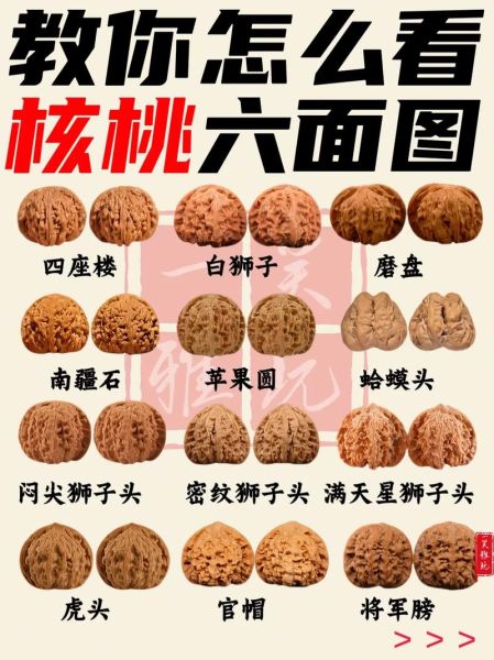 核桃图片大全大图_如何挑选高清核桃图