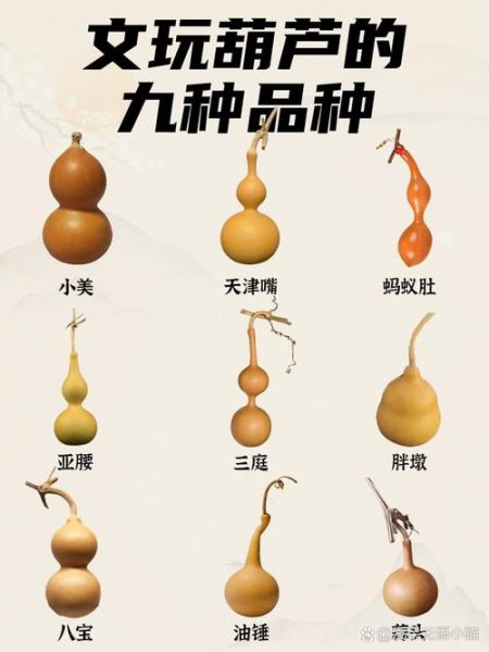 葫芦品种有哪些_葫芦图片大全怎么找