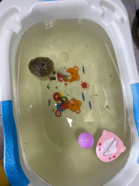 宝宝打疫苗后发烧怎么办_疫苗后护理注意事项