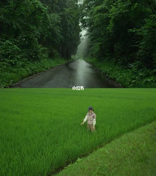 小森林迅雷下载_哪里找高清资源