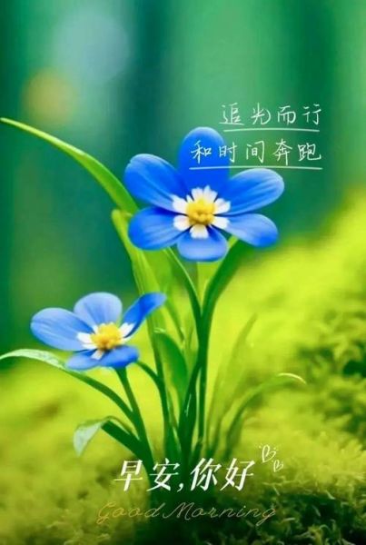 朋友圈配图怎么选_适合发朋友圈的图片有哪些