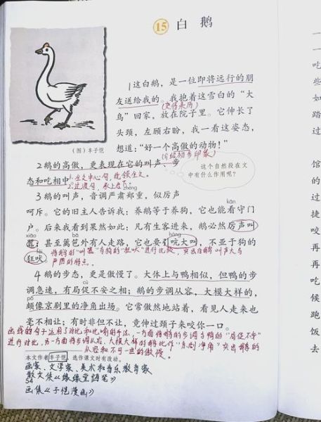 梦到大白鹅是什么意思_大白鹅梦境解析