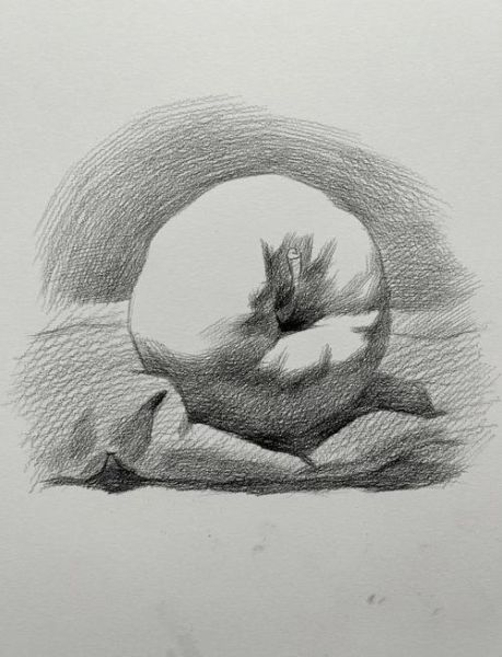 唯美素描画图片大全_初学者临摹步骤