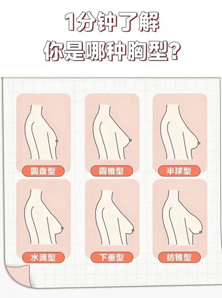 乳房形状有几种_怎么判断自己胸型