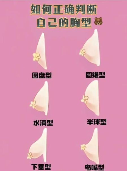 乳房形状有几种_怎么判断自己胸型