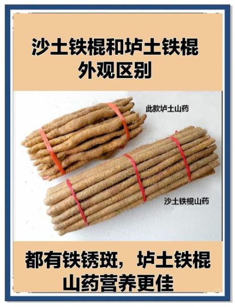 山药图片大全大图_如何挑选优质山药