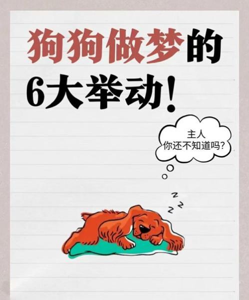 梦到一只狗是什么意思_梦见狗咬人怎么办