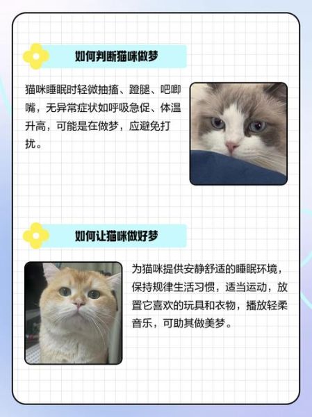 梦到猫妖是什么预兆_猫妖梦境解析