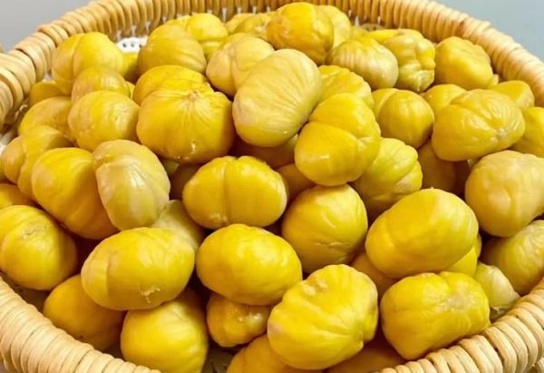 栗子图片大全_如何挑选优质栗子