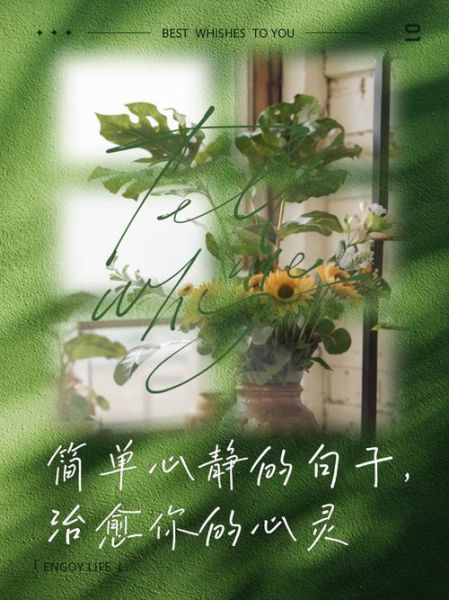 心灵图片大全_如何挑选治愈系配图