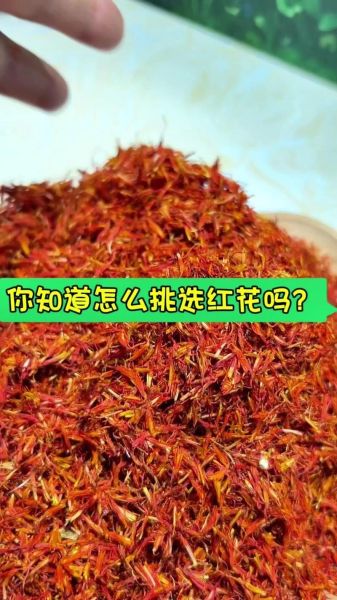 红花图片大全_如何辨别真假红花