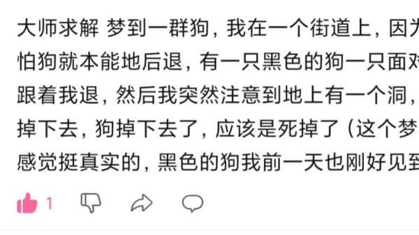 梦到好多狗是什么意思_梦见一群狗追我怎么办