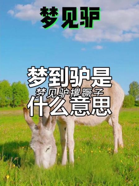 梦到驴是什么意思_梦见驴好不好