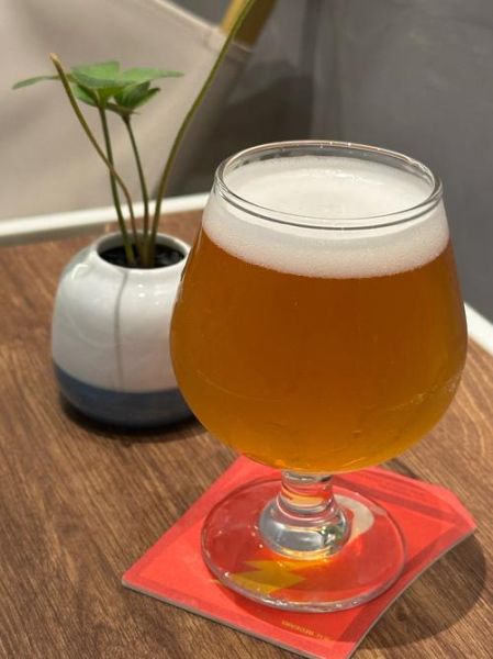 啤酒杯图片大全_啤酒杯种类有哪些