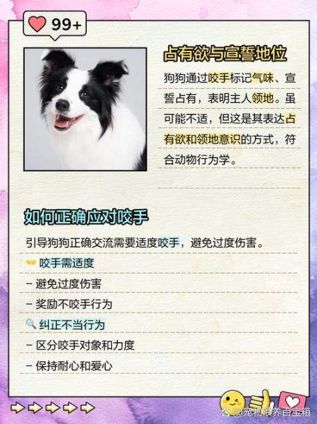 梦到狗咬手是什么意思_被狗咬手预示什么