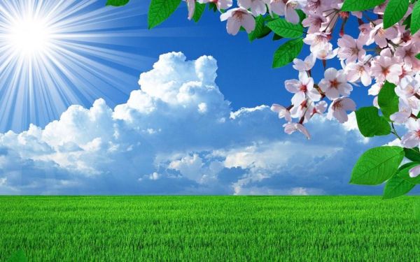 春天图片大全哪里找_春天图片大全如何免费下载