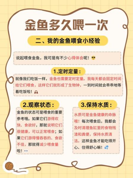 小鱼宝宝怎么喂养_小鱼宝宝多久换一次水