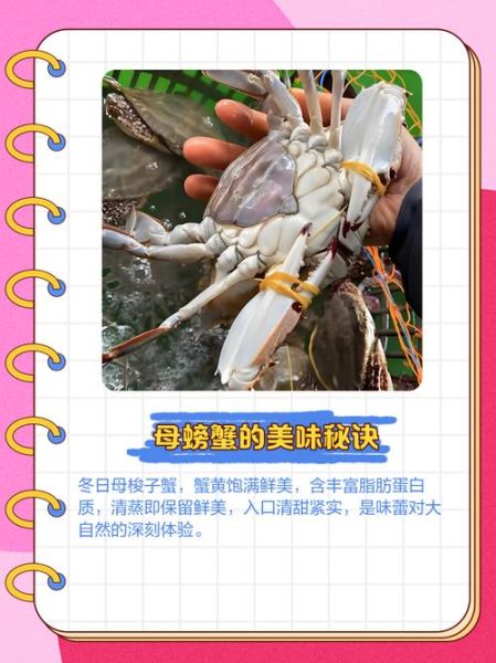 怀孕梦到螃蟹是什么意思_孕妇梦见螃蟹生男生女