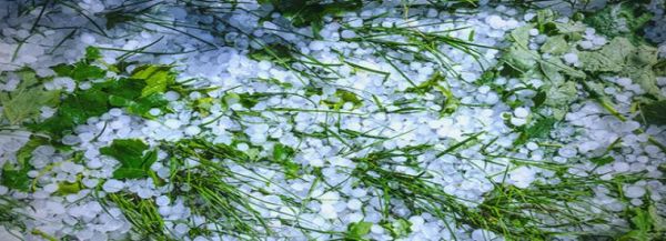 梦到冰雹是什么意思_梦见下冰雹预示什么