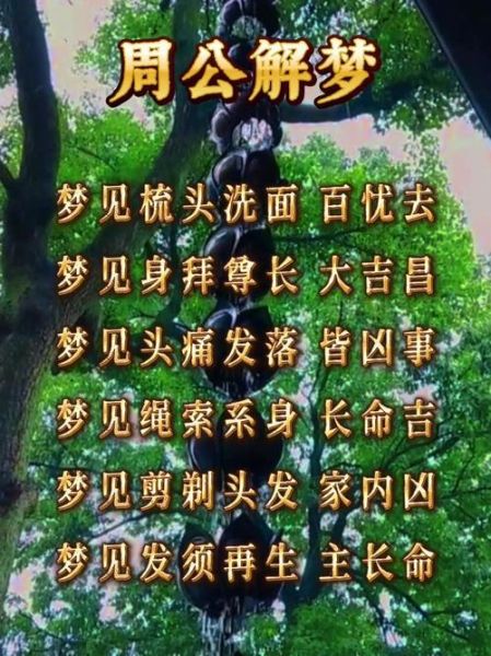 梦到长头发是什么意思_周公解梦长发象征