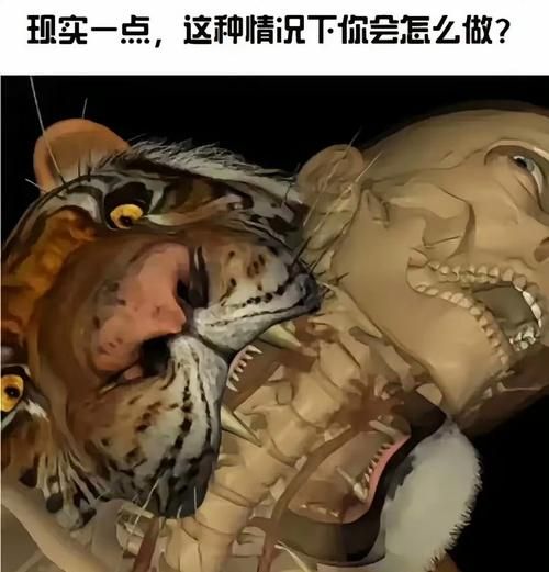 梦到老虎吃人_老虎吃人梦境解析