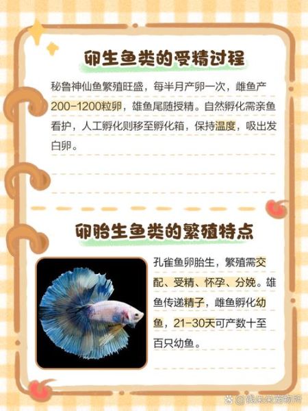 怀孕梦到大鱼是什么意思_孕妇梦见大鱼生男生女