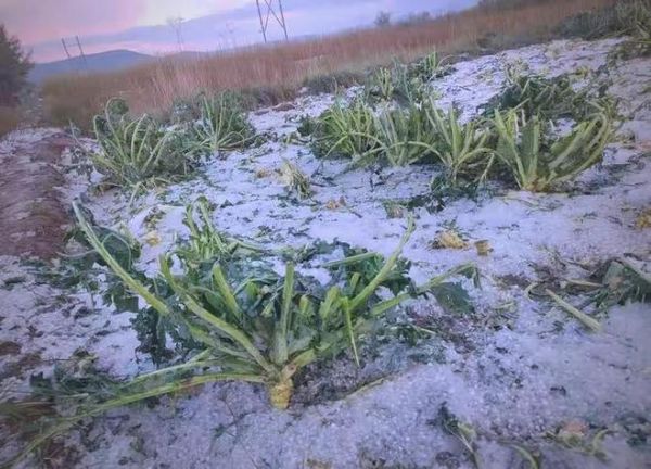 梦到下冰雹是什么意思_梦见下冰雹预示着什么