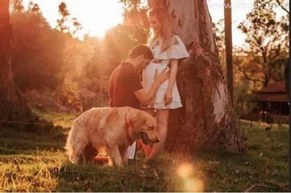 孕妇梦见狗是什么意思_孕妇梦见狗生男生女