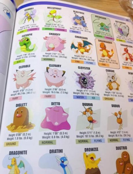 神奇宝贝大全图片_如何快速识别全部宝可梦