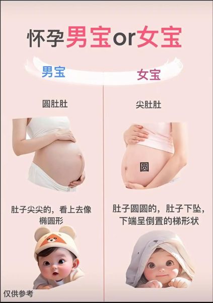 宝宝几个月能分清男女_性别认知发展规律