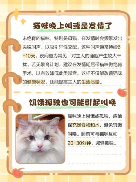 梦到猫是什么意思_周公解梦梦见猫预示什么