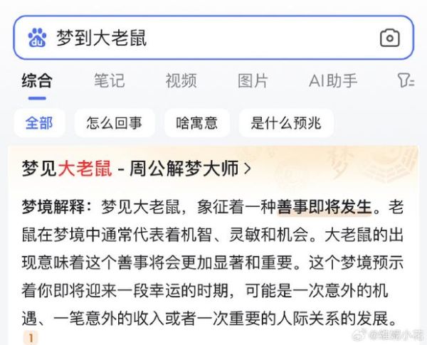 老公梦到老鼠是胎梦吗_胎梦解析