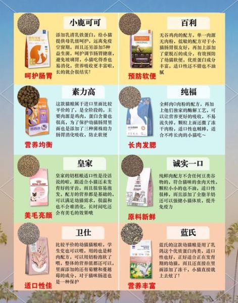 猫粮图片大全_如何挑选适合主子的干粮