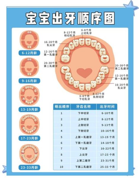 宝宝什么时候开始长牙_宝宝长牙顺序是怎样的