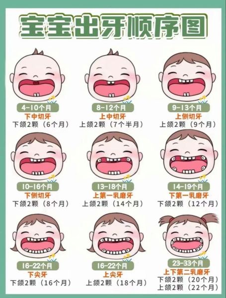 宝宝什么时候开始长牙_宝宝长牙顺序是怎样的