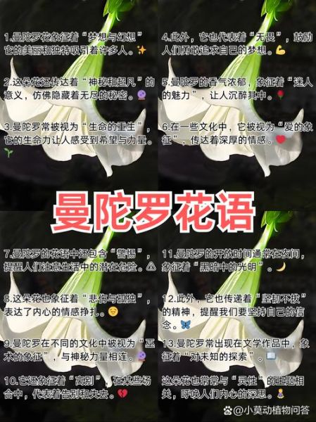 曼陀罗图片大全_曼陀罗花语是什么