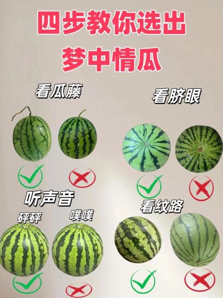 西瓜宝宝怎么挑选_西瓜宝宝怎么保存