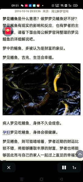 做梦梦到黄鳝是什么意思_梦见黄鳝是吉是凶