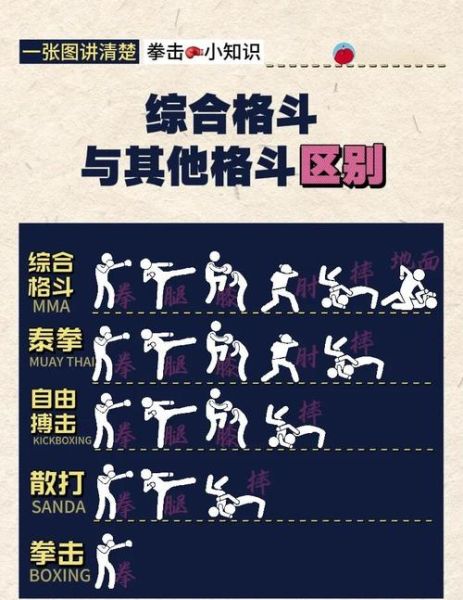 格斗图片大全_如何挑选高清素材