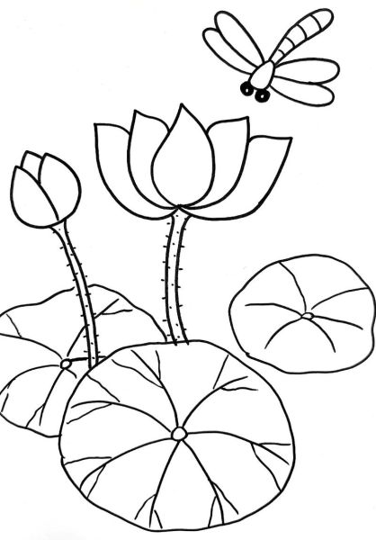 画画大全图片_怎么画简单又好看