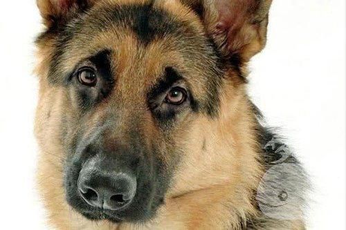 梦到黑人是什么意思_黑人梦境解析